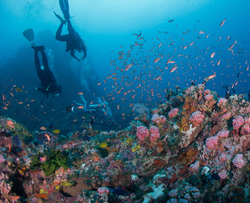 Why try Discover scubadiving with Us?